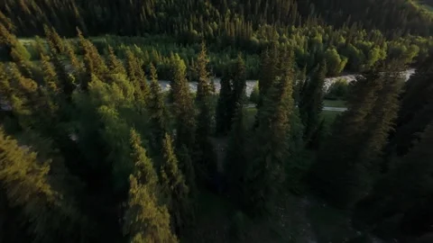 River flows through lush valley at sunset Video stock 312726672