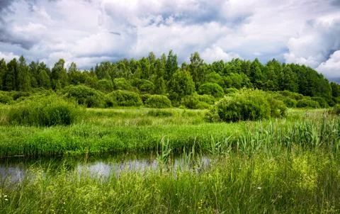 The river flows through the meadows in Belarus Stock Photos