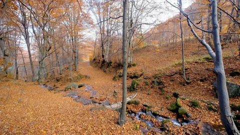 A river flows through the mountains of Tennessee during autumn Stock Footage 118716538