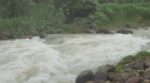 The river flows through the rainforest in the jungle.Tropical river, jungle Vídeos de archivo 68724938