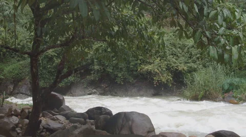 The river flows through the rainforest in the jungle.Tropical river, jungle Vídeos de archivo 68724949