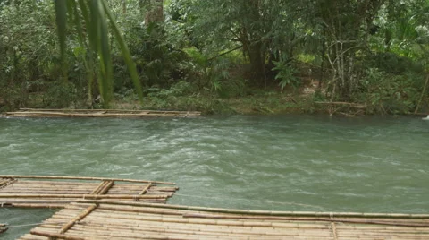 The river flows through the rainforest in the jungle.Tropical river, jungle Vídeos de archivo 68738277