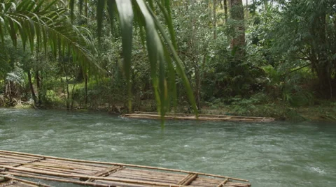 The river flows through the rainforest in the jungle.Tropical river, jungle Vídeos de archivo 68738377