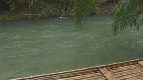 The river flows through the rainforest in the jungle.Tropical river, jungle Stock Footage 68738460