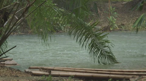 The river flows through the rainforest in the jungle.Tropical river, jungle Vídeos de archivo 68738633