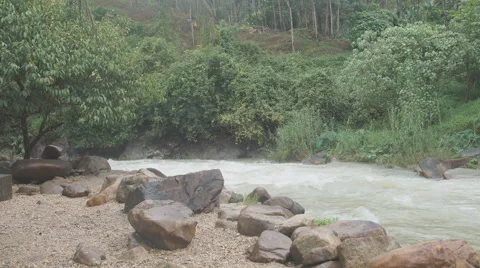 The river flows through the rainforest in the jungle.Tropical river, jungle Video stock 68742024
