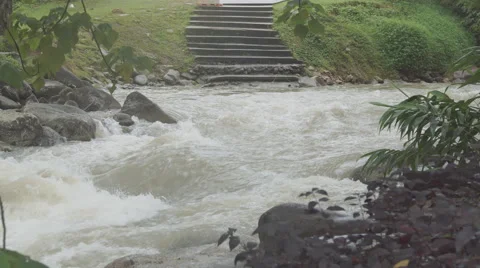 The river flows through the rainforest in the jungle.Tropical river, jungle Video stock 68742146