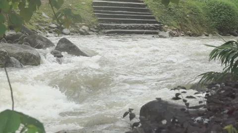 The river flows through the rainforest in the jungle.Tropical river, jungle Video stock 68742375