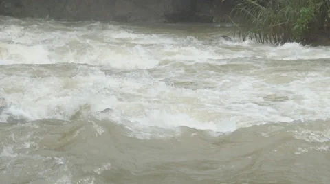 The river flows through the rainforest in the jungle.Tropical river, jungle Vídeos de archivo 68742400