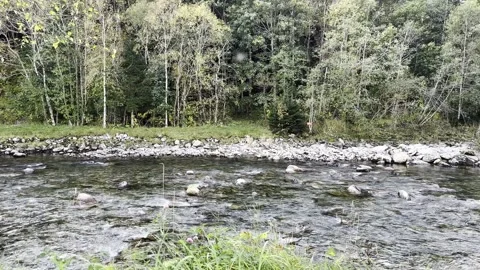 River flows through the rocks and through the fore Stock Footage 318549040