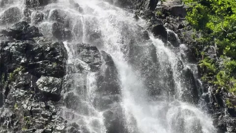 River flows through rocks and trees in a forest area during the day  Stock Footage 338344330