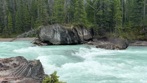 River flows through rocks and trees in a forest area during the day  Stock Footage 338344335