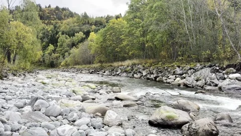 The river flows through the rocks through the fore Video stock 318549038