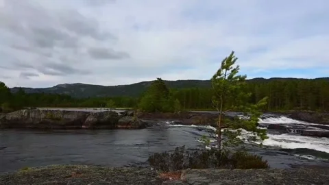 River flows through rocky landscape in Norway during cloudy day in summer w.. Stock Footage 340215872
