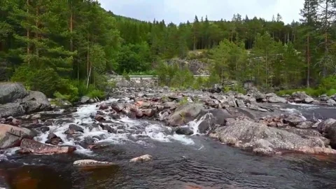 River flows through rocky terrain in Norway surrounded by trees on a cloudy.. Stock Footage 340207930