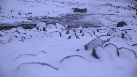 River flows through snowy landscape during winter Stock Footage 83866921