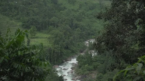 A river flows through the trees in a beautiful natural environment. Stock Footage 250356198