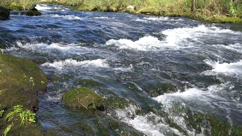 River flows through tropical rain forest jungle Vidéo 86412082