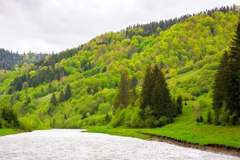 River flows through the valley of carpathian mountains Stock Photos