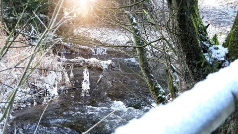 A river flows through winter landscape Stock Footage 101660306