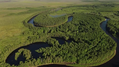 River flows throught the siberian forest and swamps(aerial view) Stock Footage 302211301