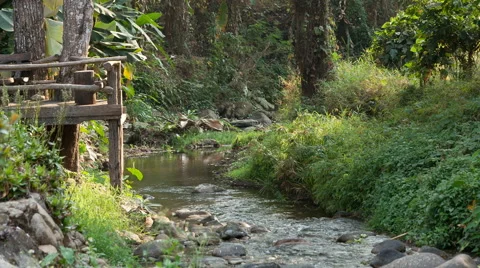 River flows thru the jungle Stock Footage 62544441