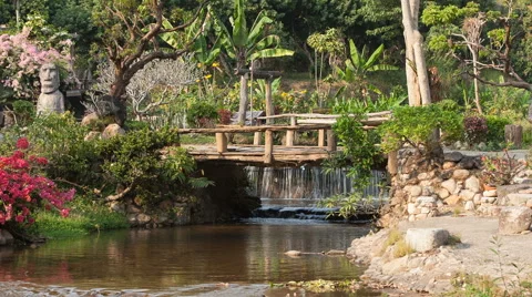 River flows thru the jungle Stock Footage 62545560