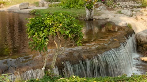 River flows thru the jungle Vídeo Stock 62546067