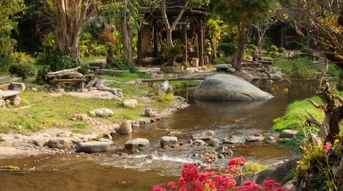 River flows thru the jungle Stock Footage 65290037