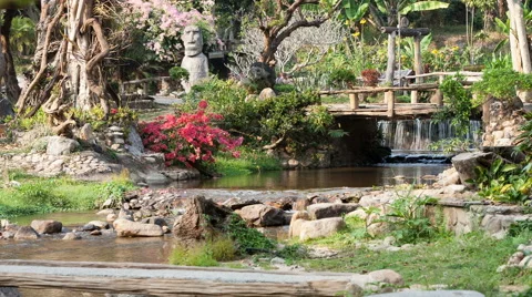 River flows thru the jungle Stock Footage 65290587