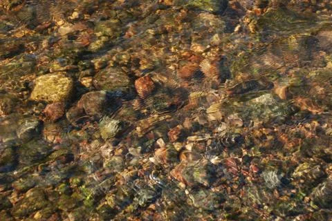 River Flows Transparent Stock Photos