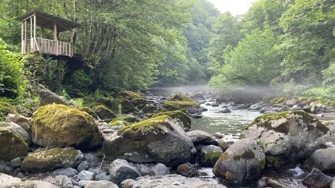 The river flows, two stones and green grass Video stock 169985870