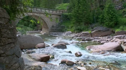River that flows under the bridge in the lake of paneveggio in the dolomites of Stock Footage 201386707