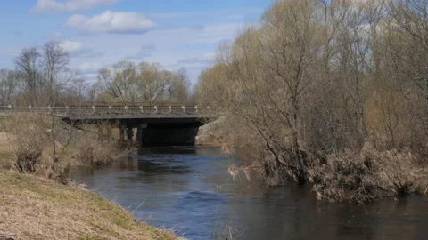 A river flows under a bridge surrounded by trees Stock Footage 188648943