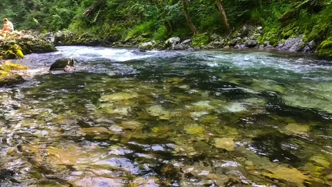 The river flows in Vintgar Gorge Stock Footage 112030874