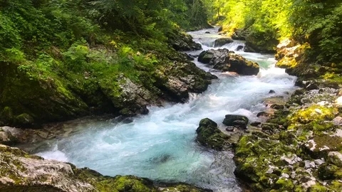 The river flows in Vintgar Gorge 스톡 동영상 112030897