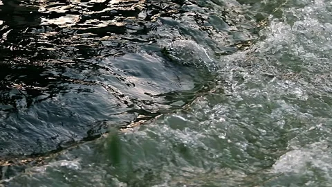The river flows - the water waves splash - the water flows Stock Footage 259288281