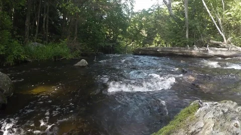 River flows to waterfall in the woods Stock Footage 81922711
