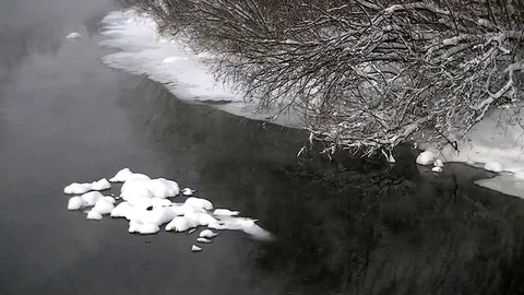 River flows in winter Stock Footage 71243514