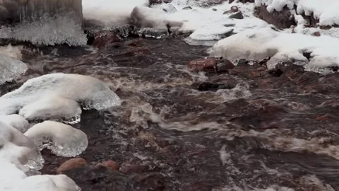 River flows in a winter forest Stock Footage 263674297
