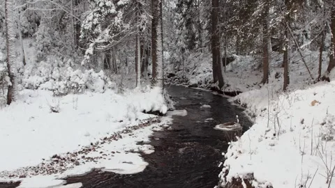 River flows in a winter forest Stock Footage 263674298