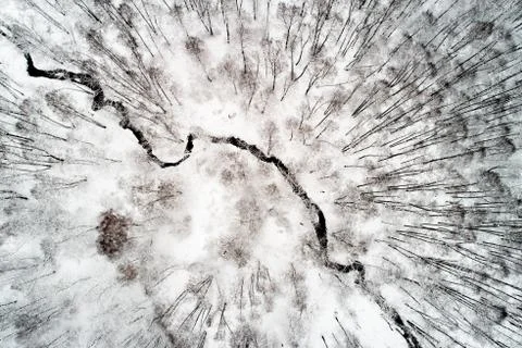 The river flows in winter through a park with trees on which lies snow. Foto stock
