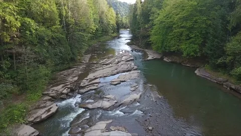 The river flows in the woods Stock Footage