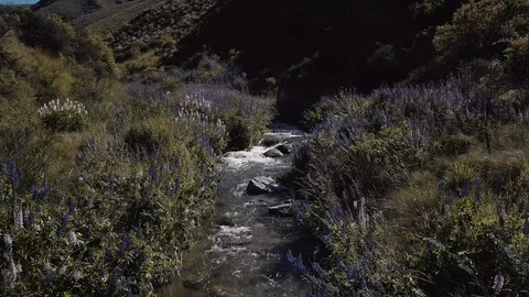 River fly over Stock Footage 94670389