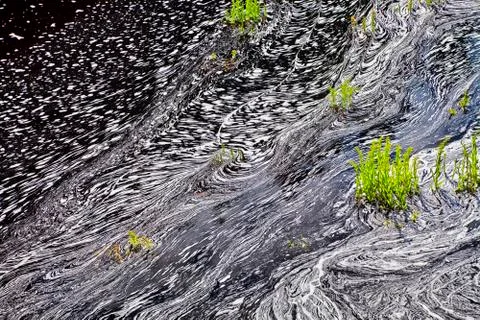 River foam Stock Photos
