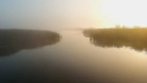 River, Fog 스톡 동영상 219701146