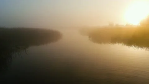 River, Fog 스톡 동영상 219701208