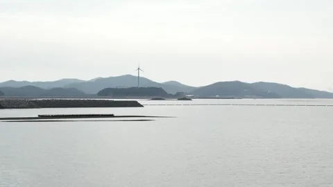 The river in the fog Video stock 310930656