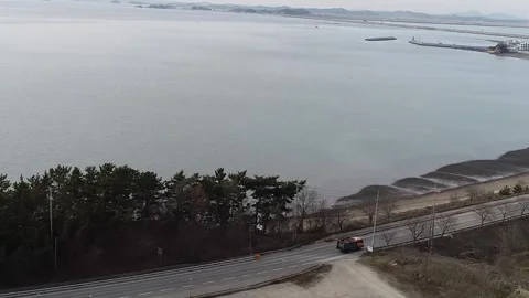 The river in the fog Video stock 310930659