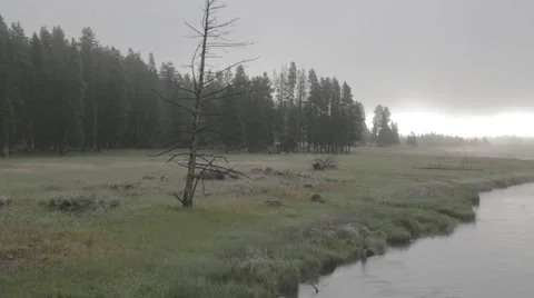 River fog pan Stock Footage 56156235